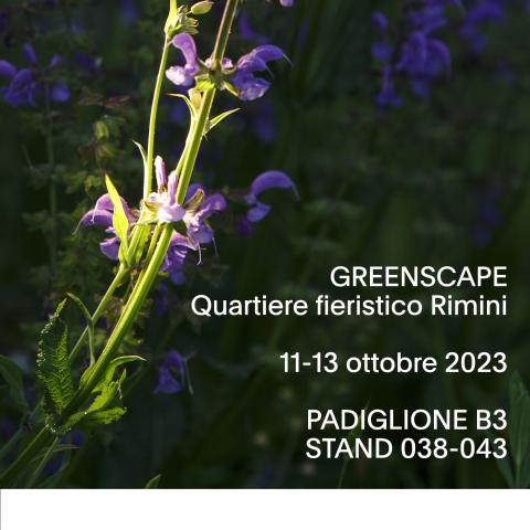STRAL ai Lab Greenscape - InOut Rimini: “Scorci Visivi” la Natura protagonista nella quotidianità dell’uomo
